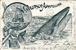 Wal Ausstellung  Künstlerkarte 1901 I-II (Ecke Abgestoßen) Expo - Sonstige & Ohne Zuordnung