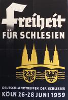 Politik Plakat 84 X 58 Cm Deutschlandtreffen Der Schlesier II (Einrisse) - Evenementen