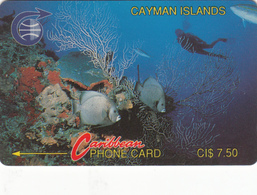 Cayman Islands Phonecard - Reef -  3CCIA - Superb Used - Islas Caimán