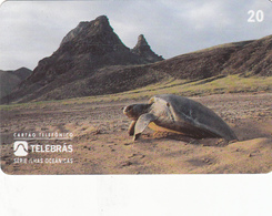 Brazil Phonecard - Tortoise -  Superb Used - Brasilien