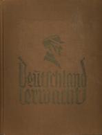 Sammelbild-Album Deutschland Erwacht Werden Kampf Und Sieg Der NSDAP Zigaretten Bilderdienst Altona Bahrenfeld 1933 Komp - Weltkrieg 1939-45