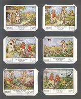 Sammelbild-Album Lot Aus 12 Sammelbild-Alben Unter Anderem 4x Palmin Post Mit 6'er Serien 51 - 100 U. 101 - 150, 2x  100 - War 1939-45