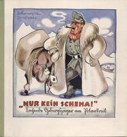 Buch WK II Nur Kein Schema Lachende Gebirgsjäger Am Polarkreis Humoristiscvhe Zeichnungen Hohenester, Albert 1941 NS Gau - Guerra 1939-45