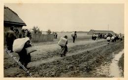 Judaika Polen Jüdische Flüchtlinge Foto-Karte I-II Judaisme - Jewish