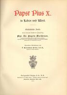 Religion Buch Papst Pius X. In Leben Und Wort Marchesan, Angelo Mgr. Dr. 1905 Verlagsanstalt Benzinger & Co. 622 Seiten  - Papi