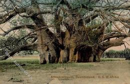 Kolonien Deutsch Südwestafrika Affenbrotbaum Ovamboland I-II (Stauchung) Colonies - Geschichte