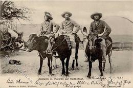 Kolonien Deutsch Südwestafrika Bastards U. Hereros Auf Reitochsen 1903 I-II Colonies - Histoire