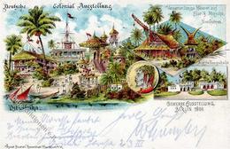 Kolonien Deutsch Ostafrika Deutsche Kolonial Ausstellung  Lithographie 1897 I-II Expo Colonies - Storia