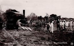 Kolonien Deutsch Ostafrika Sadani Baumwollfeld I-II Colonies - Geschichte