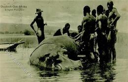 Kolonien Deutsch-Ostafrika Jagd Erlegtes Flusspferd Stpl. Morogoro 1.1.08 I-II Colonies Chasse - Geschichte