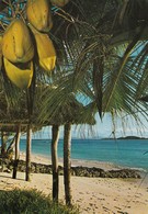 Seychelles - Cousin From Anse Kerlan 1979 Nice Stamp - Seychellen