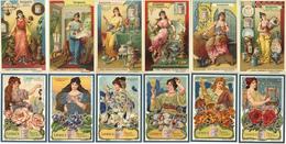 Liebig Sammlung Von Vermutlich über 500 Serien In 5 Schachteln I-II - Werbepostkarten