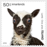 IJsland / Iceland - Postfris / MNH - Complete Set Jonge Dieren 2018 - Ungebraucht