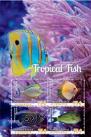 Micronesia 2014 Fish Marine Life Tropical Fish    I201805 - Micronesia