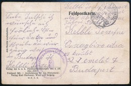 1917 Tábori Posta Képeslap / Field Postcard 'M.KIR. BUDAPESTI HONVÉD GYALOGEZRED' + 'TP 417' - Altri & Non Classificati