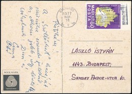 1969 Földtani Intézet 60f Vágott Bélyeg Fekete Színnyomat Nélkül Képeslapon (1977-ben Futott) / Mi 2521 Imperforate Stam - Other & Unclassified