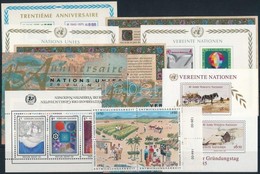 ** 1964-1990 ENSZ Genf, Bécs 9 Klf Blokk + 1 Négyestömb - Altri & Non Classificati