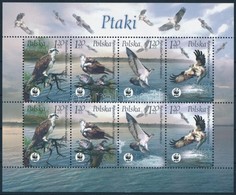 ** 2003 WWF Kisív Mi 4079-4082 - Other & Unclassified