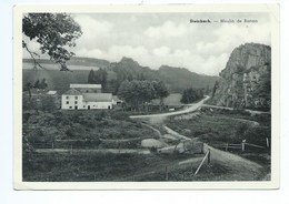 Steinbach Moulin Bistain - Gouvy