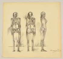 Barcsay Jelzéssel: Csontváz Tanulmány. Szén, Papír, 50×50 Cm - Andere & Zonder Classificatie