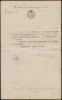 1921 Szentkirályi Miklós Sátoraljai ügyészséghez Beosztott Gyulafehérvári ügyész Fizetési Besorolási értesítése, Tomcsán - Unclassified