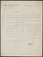 Cca 1935 A Párizsi Magyar Követség Fejléces Levélpapírjára írt Levél Megemlékezéssel Kapcsolatban - Non Classificati
