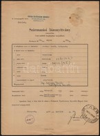 1943-1944 Versenylovakkal, üget?versenyzéssel Kapcsolatos Iratok, Származási Bizonyítványok, Marhalevelek, 8 Db - Unclassified