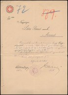 1911 Az Aradi Fehér Kereszt Gyermekvéd? Egyesület értesít? Levele Igazgatósági Tagsági Kinevezésr?l L?cs Rezs? (?-?) Ara - Unclassified