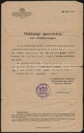 1918 Bp., Hatósági Igazolvány Zsír Ellátatlanságra - Unclassified