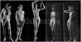 Cca 972 Karcsú és Magas, Szolidan Erotikus Felvételek, 5 Db Vintage Fotó, 18x6 Cm - Other & Unclassified