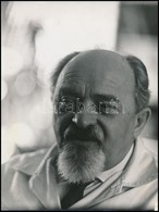 Dr. Szentmiklósi Anghi Csaba (1901-1982) A Budapesti Állatkert Egykori F?igazgatója, Sajtófotó, Szalay Zoltán, 24×18 Cm - Other & Unclassified