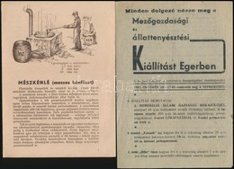 19521963 Vegyes Röplap és Ismertet? Prospektus Tétel: Eger, Mez?gazdasági Kiállítás; Mentsd Meg Sz?l?termésedet A Perono - Unclassified