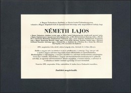 1991 Németh Lajos (1929-1991) M?vészettörténész, MTA Levelez? Tag, ELTE Tanszékvezet? Egyetemi Tanár, Magyar Képz?m?vész - Unclassified