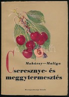 Mohácsy Mátyás-Maliga Pál: Cseresznye- és Meggytermesztés. Bp.,1956, Mez?gazdasági. Kiadói Papírkötés. Megjelent 3200 Pé - Unclassified