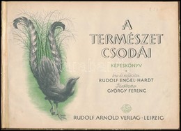 Rudolf Engel-Hardt: A Természet Csodái. Írta és Rajzolta: --. Fordította: György Ferenc. Leipzig, é.n., Rudolf Arnold. Á - Unclassified