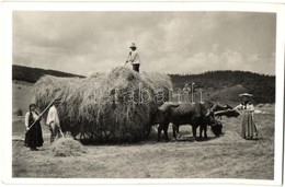 * T2 Kolozsvár, Cluj; Vista / Szénagy?jtés, ökrös Szekér, Folklór. Lepage Lajos Kiadása / Hay Gathering, Ox Cart, Folklo - Unclassified