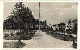 * T2/T3 Kovászna-fürd?, Baile Covasna; Piac Tér, Országzászló, Bazár / Square With Hungarian Flag, Bazaar Shop (fa) - Unclassified