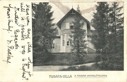 T2/T3 Magura, Magura Ilvei; Tubafa Villa A Magura Nyaralótelepen. Stief J. és Társa / Villa (EK) - Unclassified