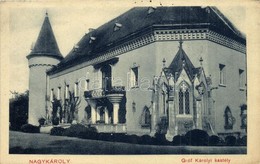 T2/T3 Nagykároly, Carei; Gróf Károlyi Kastély / Castle  (EK) - Non Classificati