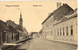 T2/T3 Nagyszentmiklós, Sannicolau Mare; Kálmán Utca. W. L. Bp. 2109. Kiadja Wiener Náthán / Street View (EK) - Non Classificati