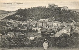 T2/T3 Segesvár, Schässburg, Sighisoara; Látkép. W. Nagy Kiadása / General View (EK) - Non Classificati