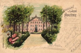 T2/T3 Lázní Houstky, Castle. Floral Litho (EK) - Zonder Classificatie