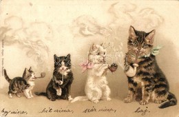 T4 1899 Pipe Smoking Cats. Schmidt Edgar Litho (apró Lyuk / Tiny Hole) - Unclassified