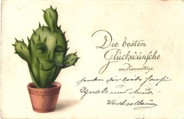 T2/T3 Die Besten Glückwünsche Zum Namenstage! / Name Day Greeting Card With Cactus. Litho (EK) - Non Classificati