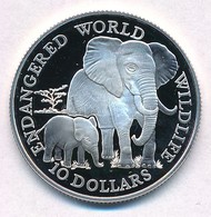 Cook-szigetek 1990. 10$ Ag 'Afrikai Elefánt' T:PP
Cook Islands 1990. 10 Dollars 'African Elephant' C:PP
Krause KM#80 - Unclassified