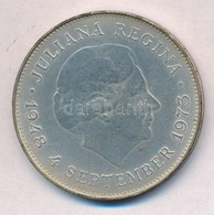 Hollandia 1973. 10G Ag 'Julianna' T:2 Patina
Netherlands 1973. 10 Gulden Ag 'Juliana' C:XF Patina 
Krause KM#196 - Unclassified