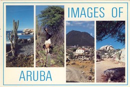 ARUBA - Typical Images - Aruba