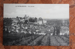 CHATEL-CENSOIR (89) - VUE GENERALE - Champigny