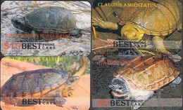 ISRAEL TURTLE SET OF 8 PHONE CARDS - Schildpadden