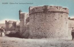 66 - SALSES - Château Fort (monument Historique) - Salses